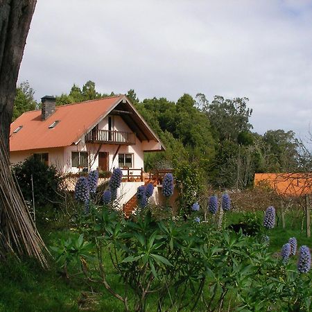 Bio Quinta Do Pantano, Agro Turismo Villa Santo Antonio da Serra Luaran gambar