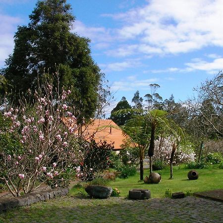 Bio Quinta Do Pantano, Agro Turismo Villa Santo Antonio da Serra Luaran gambar