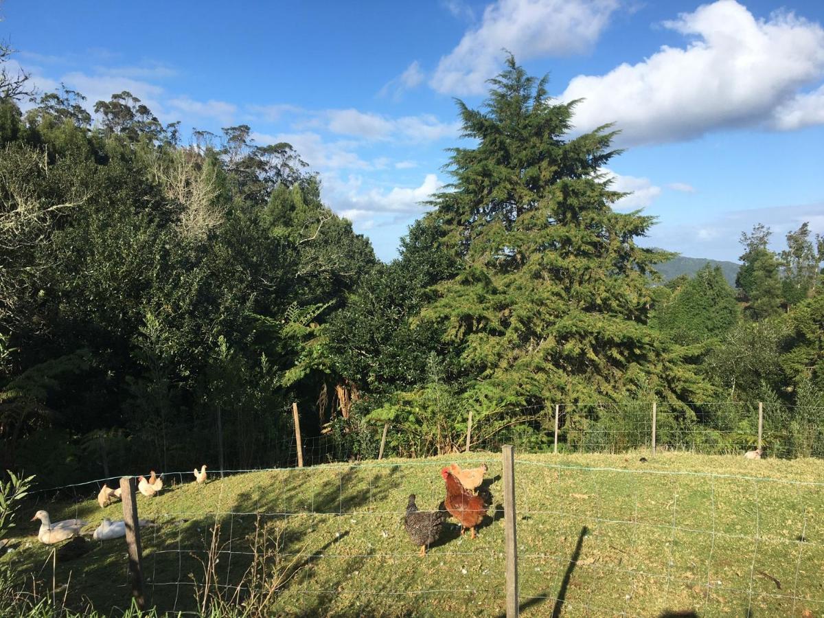 Bio Quinta Do Pantano, Agro Turismo Villa Santo Antonio da Serra Luaran gambar