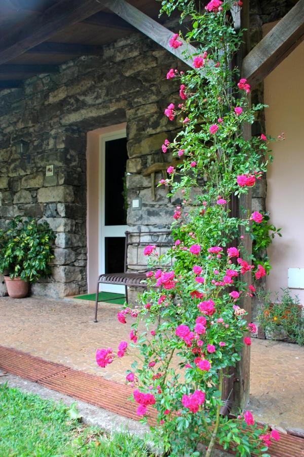 Bio Quinta Do Pantano, Agro Turismo Villa Santo Antonio da Serra Luaran gambar