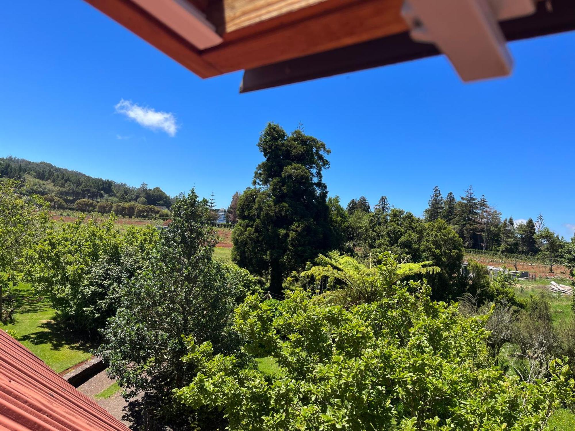 Bio Quinta Do Pantano, Agro Turismo Villa Santo Antonio da Serra Luaran gambar
