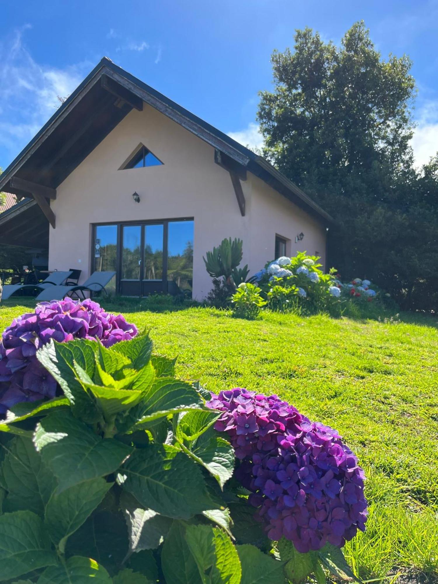 Bio Quinta Do Pantano, Agro Turismo Villa Santo Antonio da Serra Luaran gambar