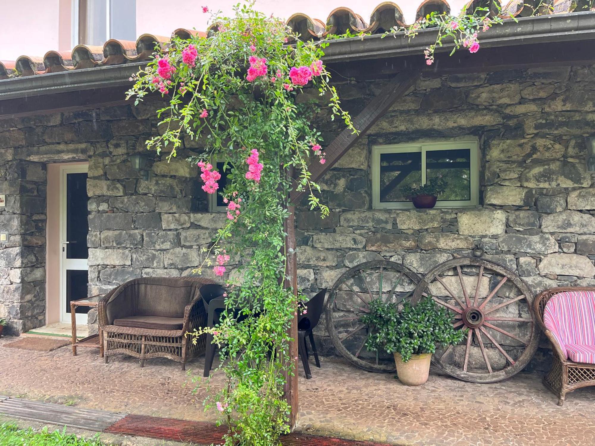Bio Quinta Do Pantano, Agro Turismo Villa Santo Antonio da Serra Luaran gambar