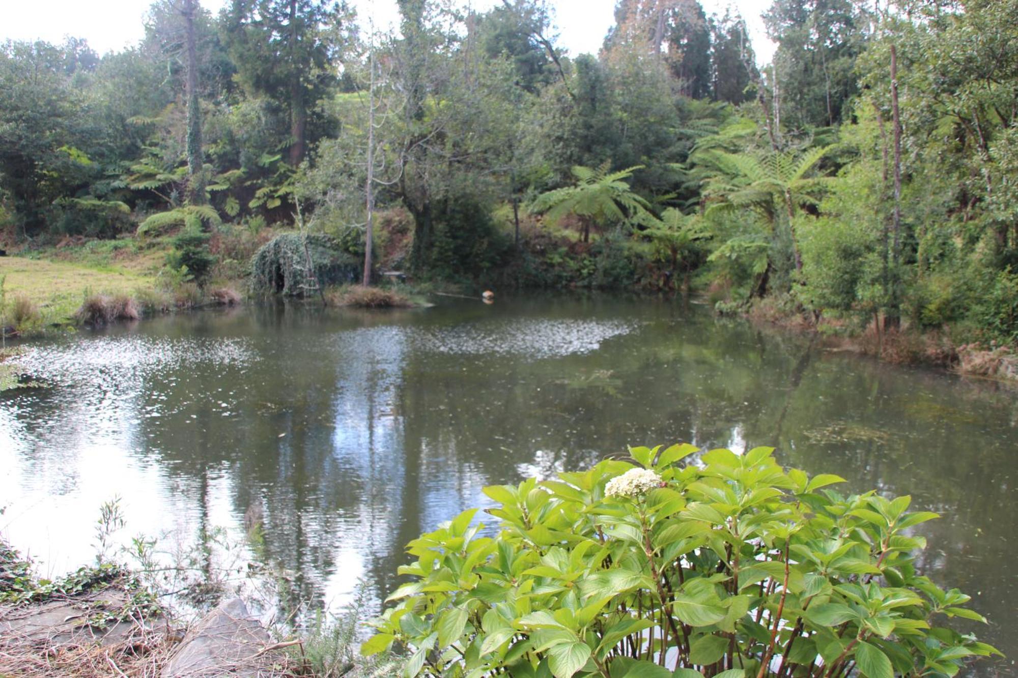 Bio Quinta Do Pantano, Agro Turismo Villa Santo Antonio da Serra Luaran gambar