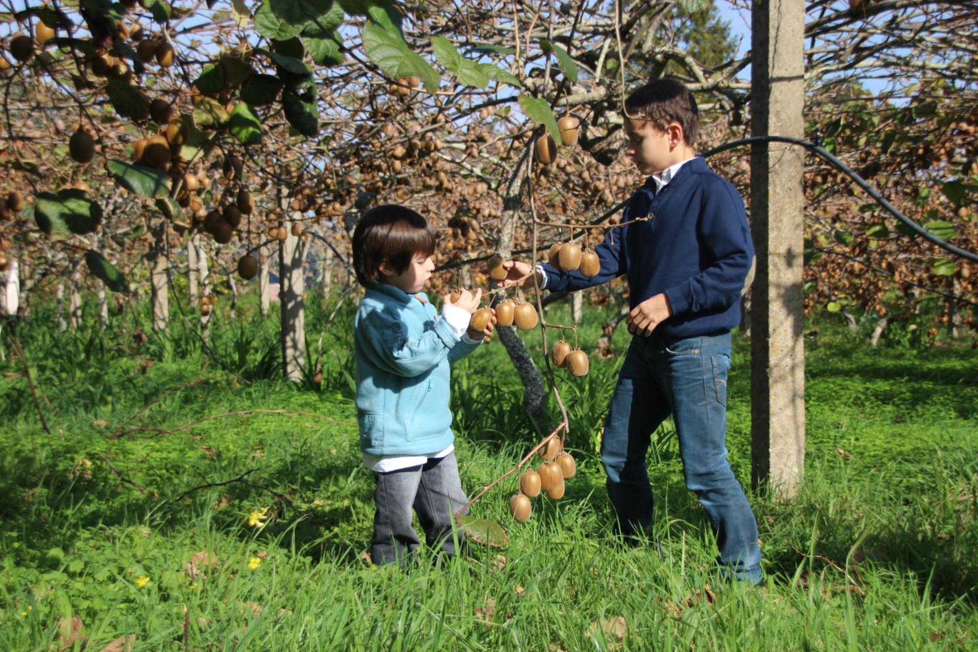 Bio Quinta Do Pantano, Agro Turismo Villa Santo Antonio da Serra Luaran gambar