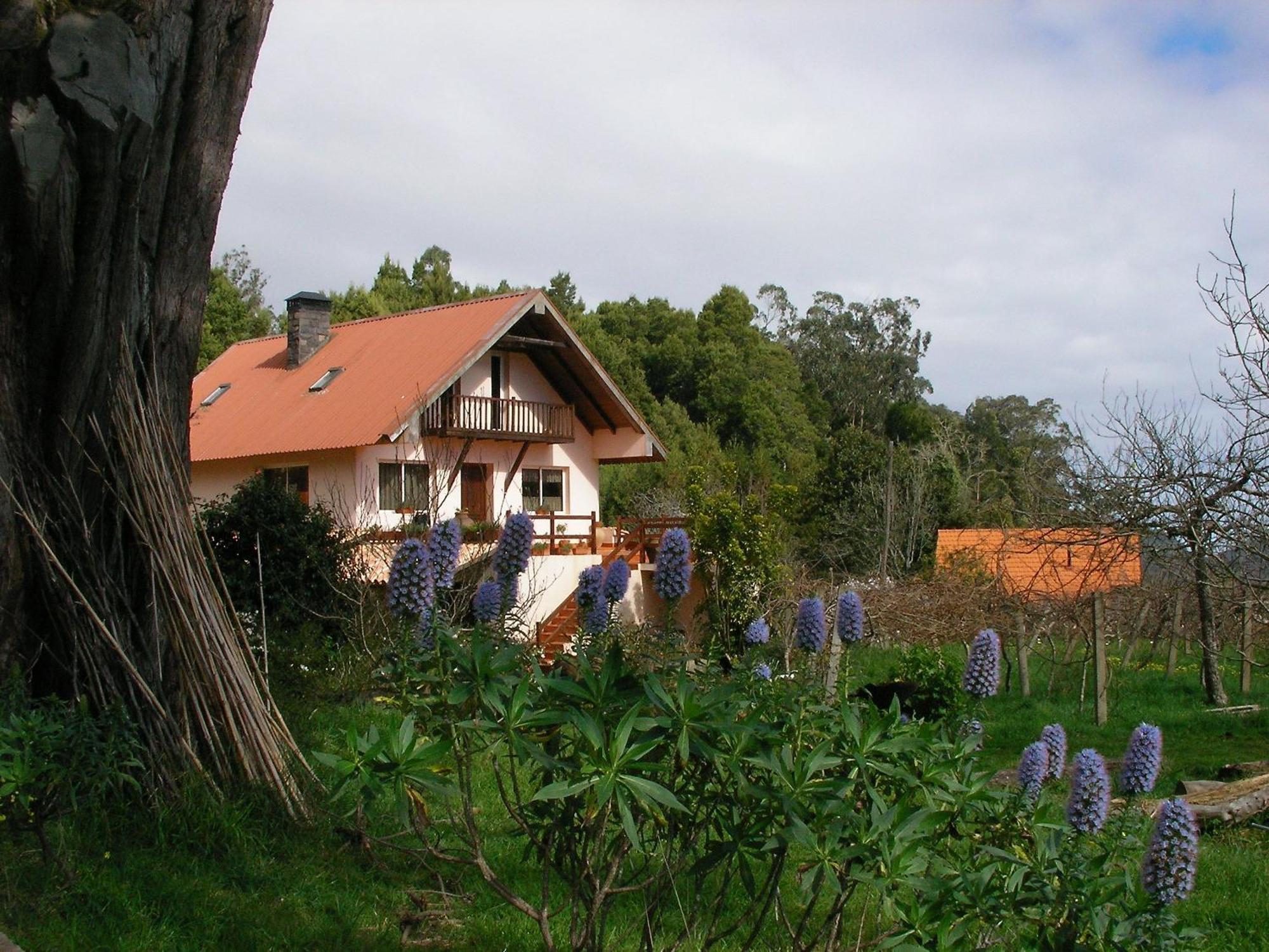 Bio Quinta Do Pantano, Agro Turismo Villa Santo Antonio da Serra Luaran gambar