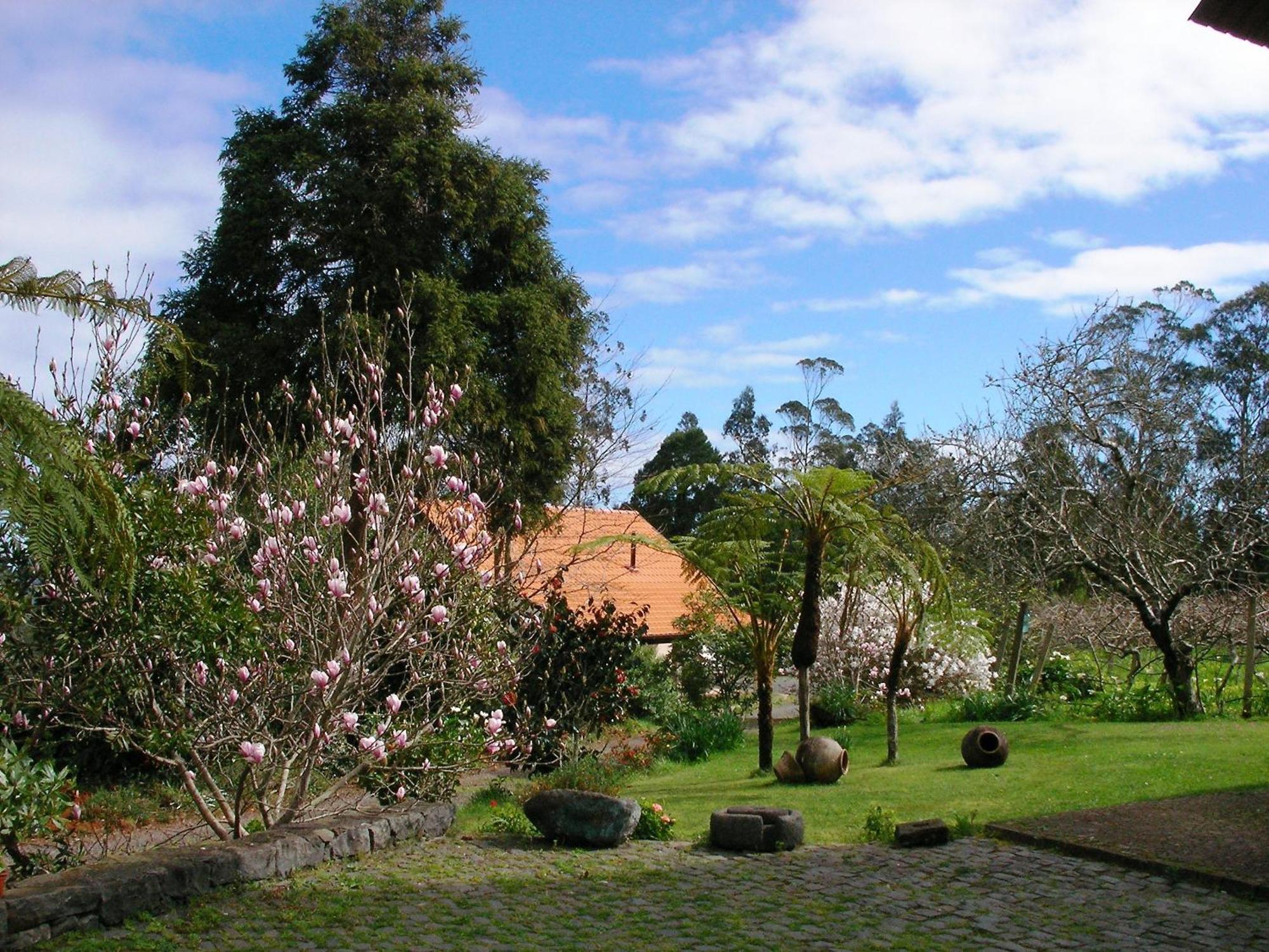Bio Quinta Do Pantano, Agro Turismo Villa Santo Antonio da Serra Luaran gambar