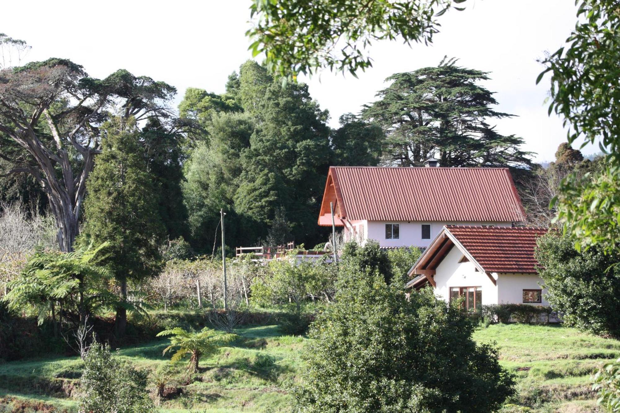 Bio Quinta Do Pantano, Agro Turismo Villa Santo Antonio da Serra Luaran gambar