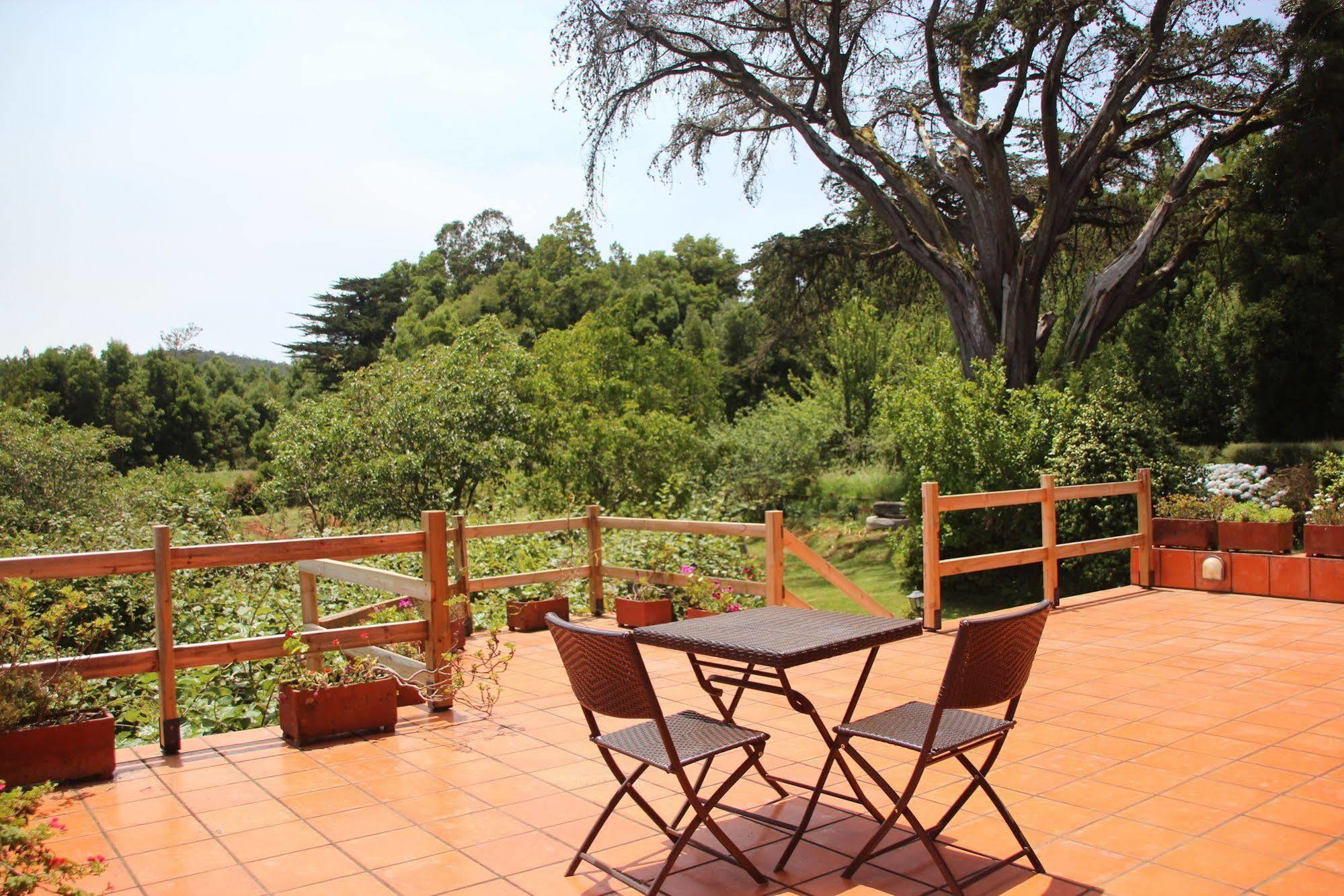 Bio Quinta Do Pantano, Agro Turismo Villa Santo Antonio da Serra Luaran gambar