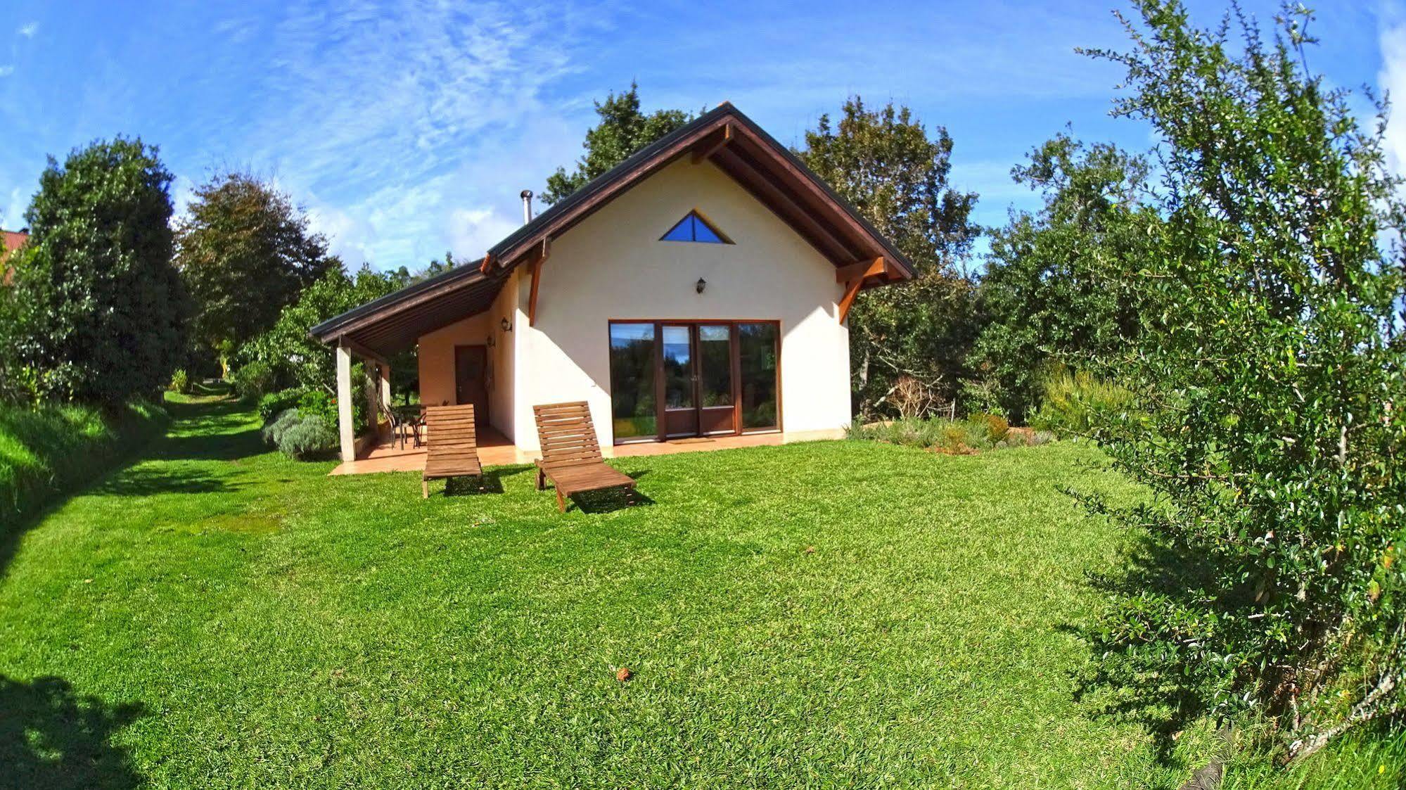 Bio Quinta Do Pantano, Agro Turismo Villa Santo Antonio da Serra Luaran gambar